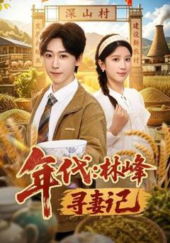《年代：林峰寻妻记》